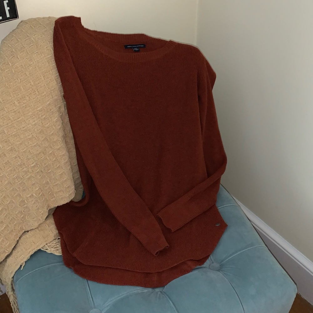 Rusty Orange Small AE Sweater